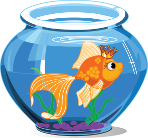 a goldfish bowl